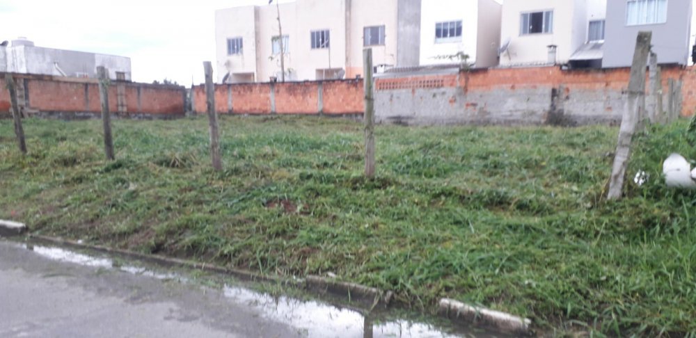 Terreno - Venda - Santa Regina - Cambori - SC